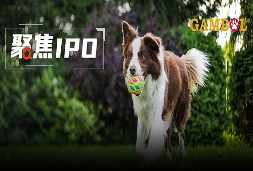 乖寶寵物境外重大訴訟懸而未決，利潤(rùn)空間受境內(nèi)外雙重?cái)D壓，寵物食品銷售困局待解