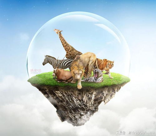 寵物食品品牌如何以公益性營銷實(shí)現(xiàn)銷售增長(zhǎng)與品牌差異化