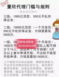 央視曝光董欣品牌引發(fā)關(guān)注，解析其官方代理招募模式與市場營銷策略